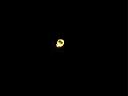 DSCN0788.JPG
