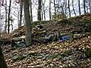 DSCN0793.JPG